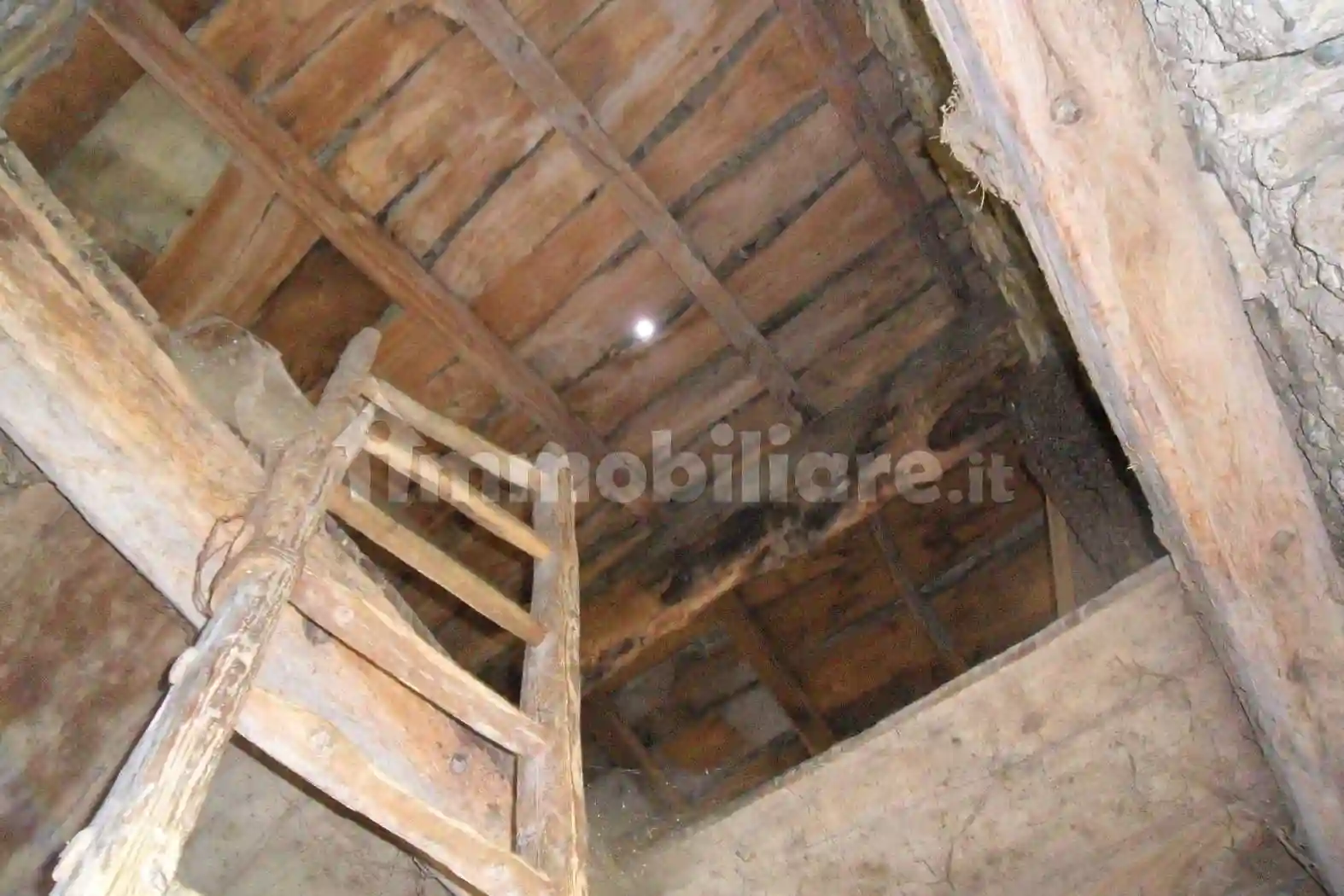 Rustico - Casale - foto 5