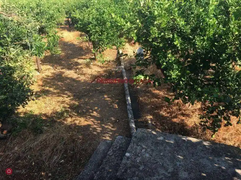 Rustico Strada Provinciale 127, Campagnone, Bagheria - foto 3