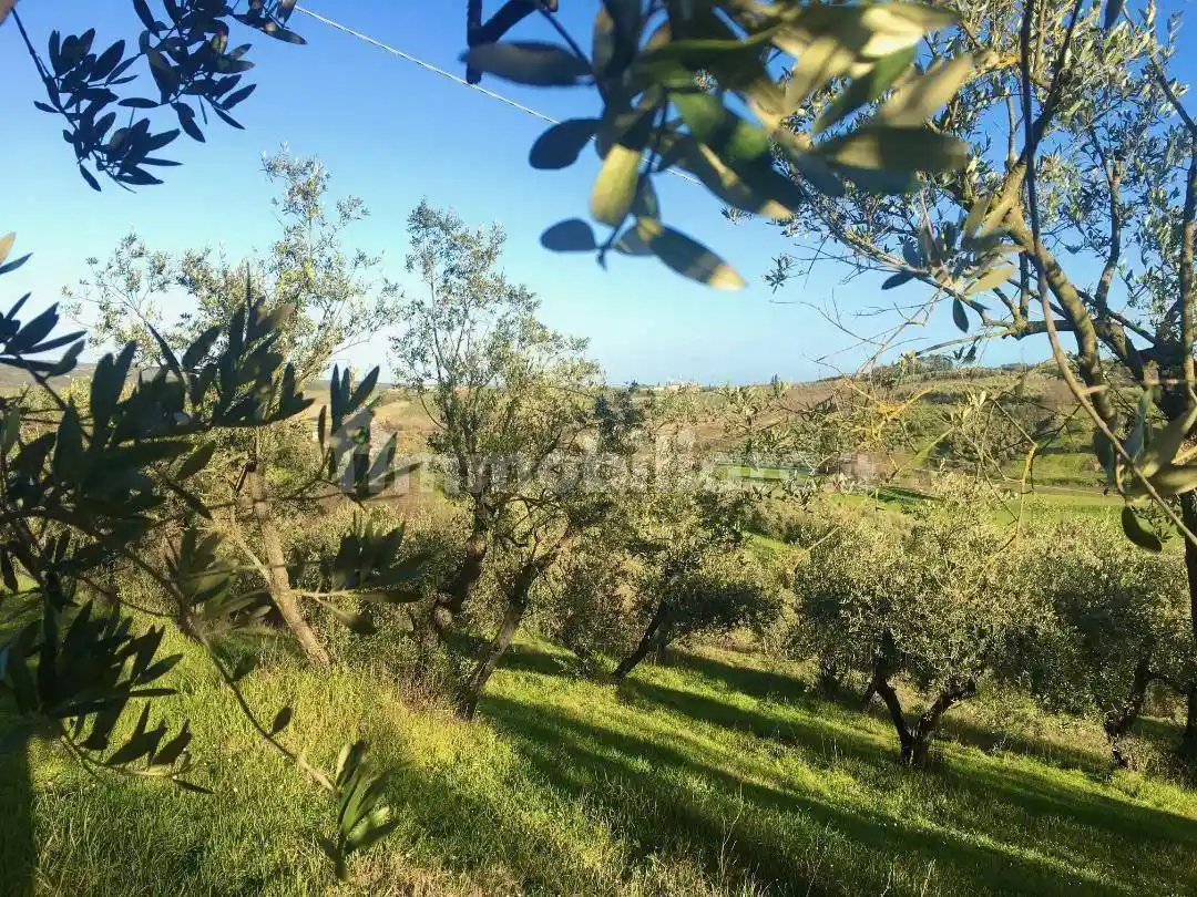 Rustico - Casale in vendita a Vinci