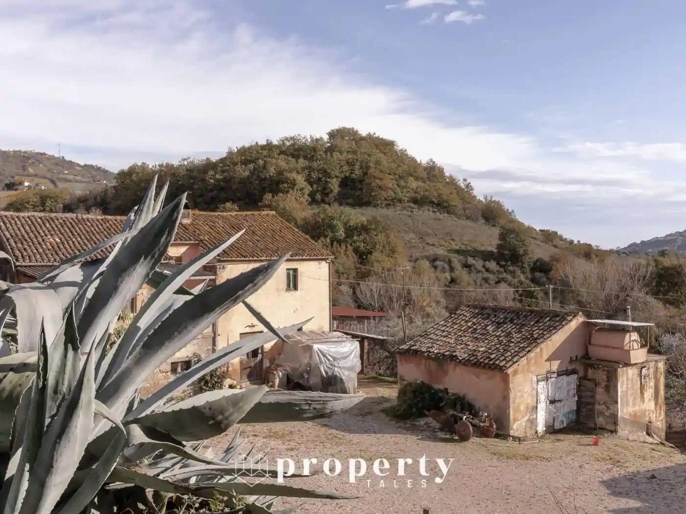 Rustico - Casale in vendita a Ripatransone