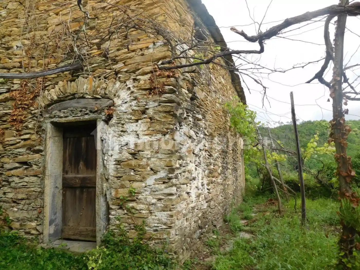 Rustico - Casale in vendita a Lavagna