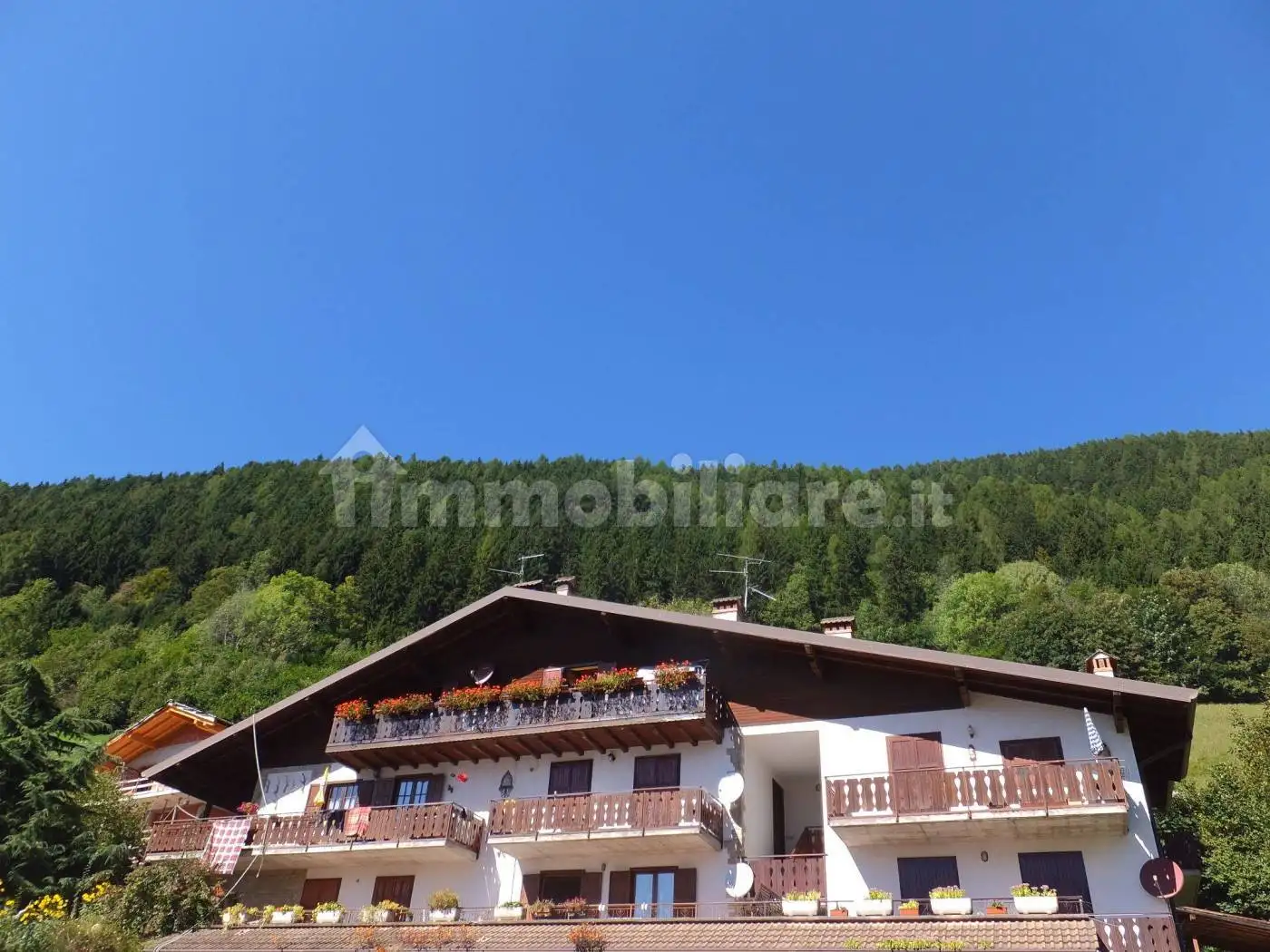 Appartamento in vendita a Vilminore di Scalve