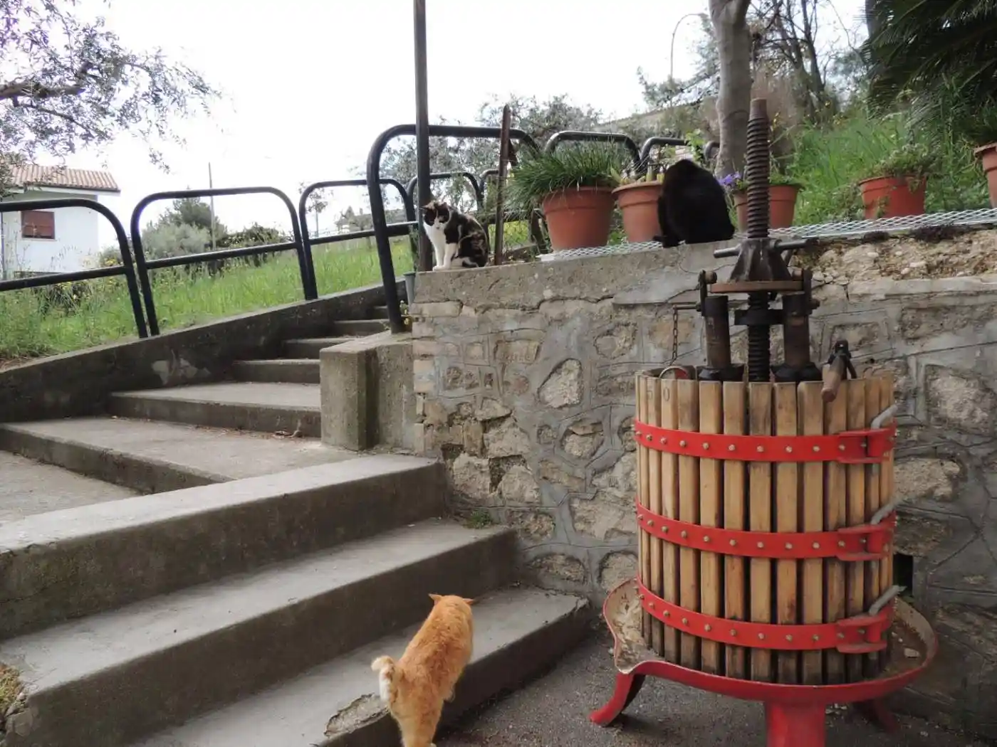 Appartamento piazza Umberto I, Centro, Alanno - foto 3