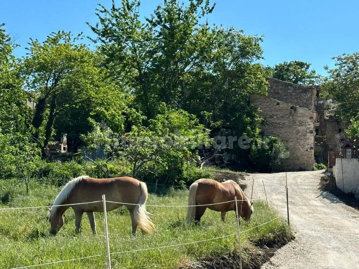 Terratetto unifamiliare corso Gaetano Bernardi, Centro, Caramanico Terme - foto 3