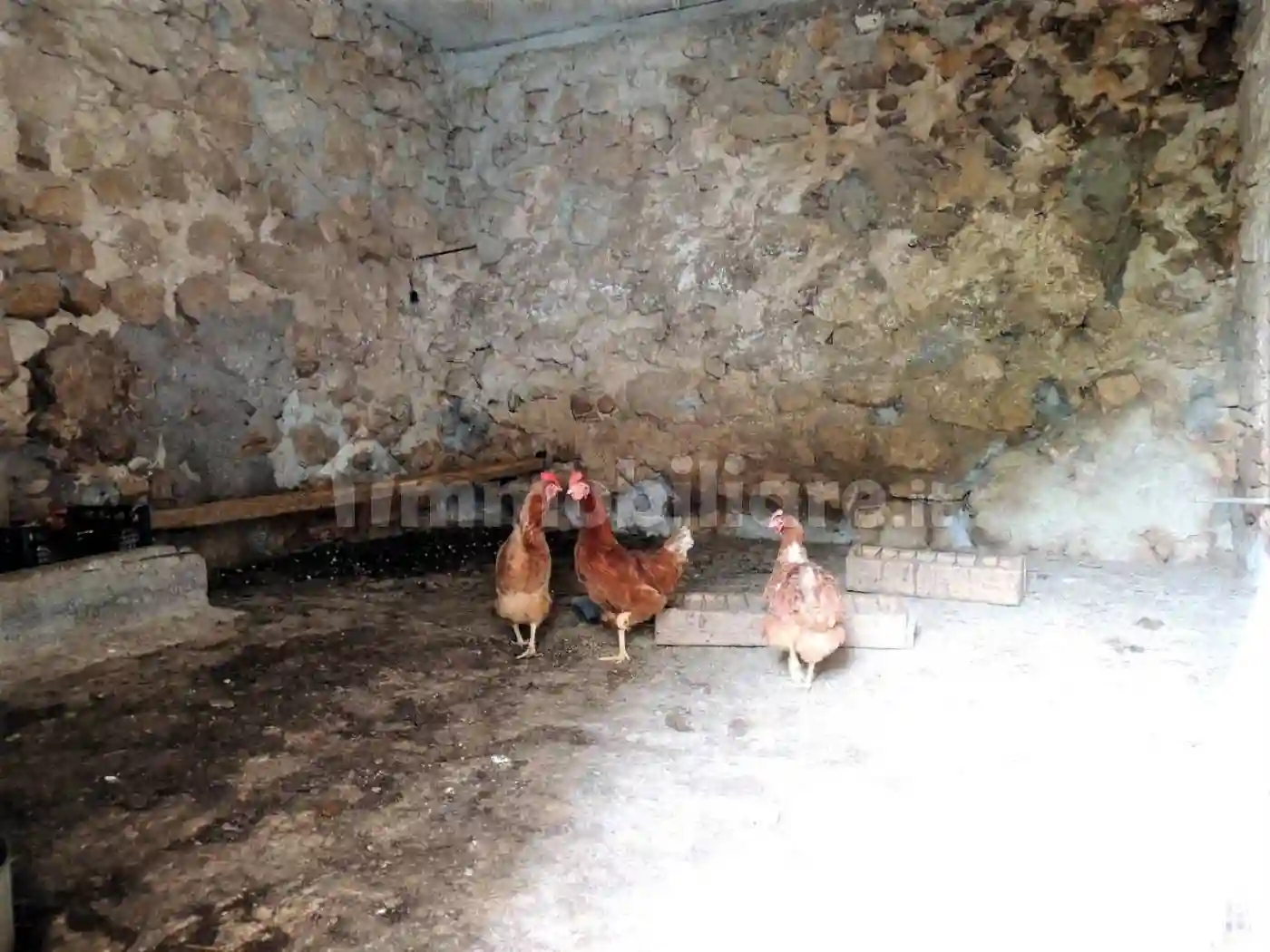 Rustico - Casale - foto 5