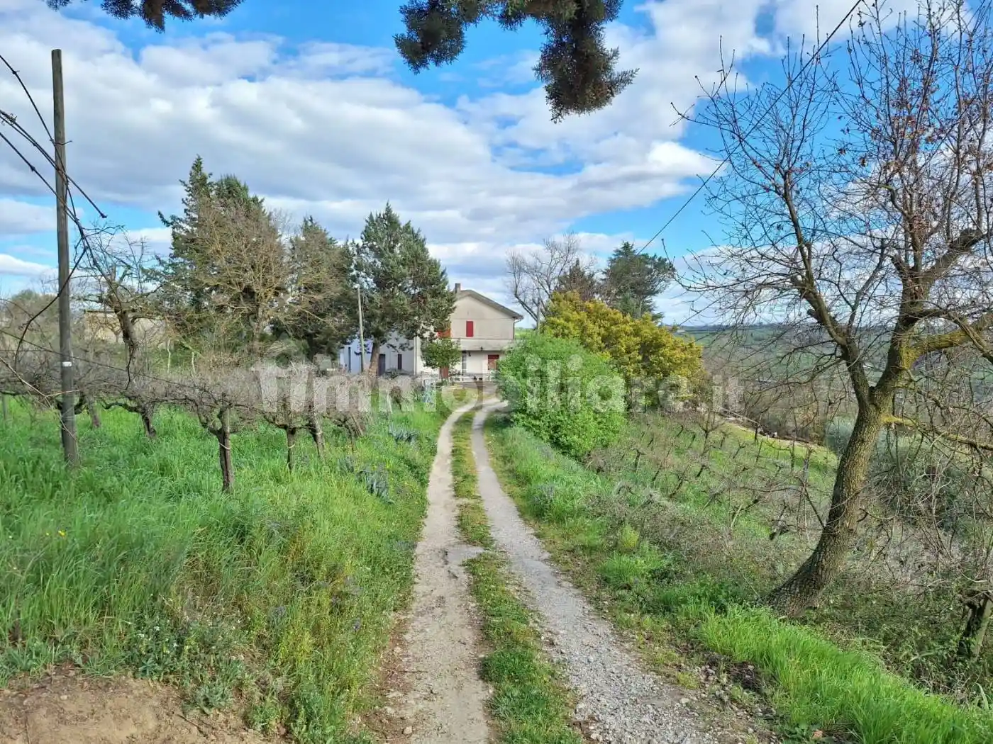 Casa indipendente - foto 3