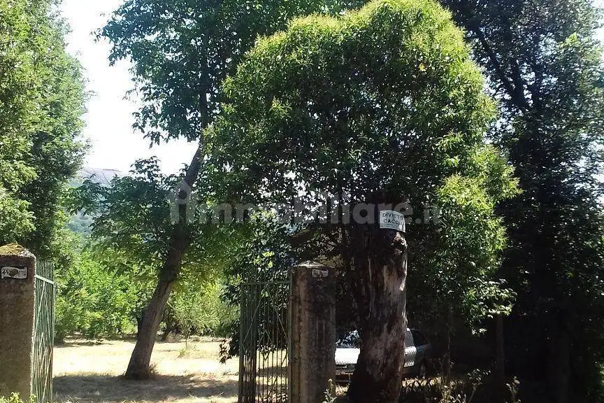 Rustico - Casale in vendita a San Gregorio Magno