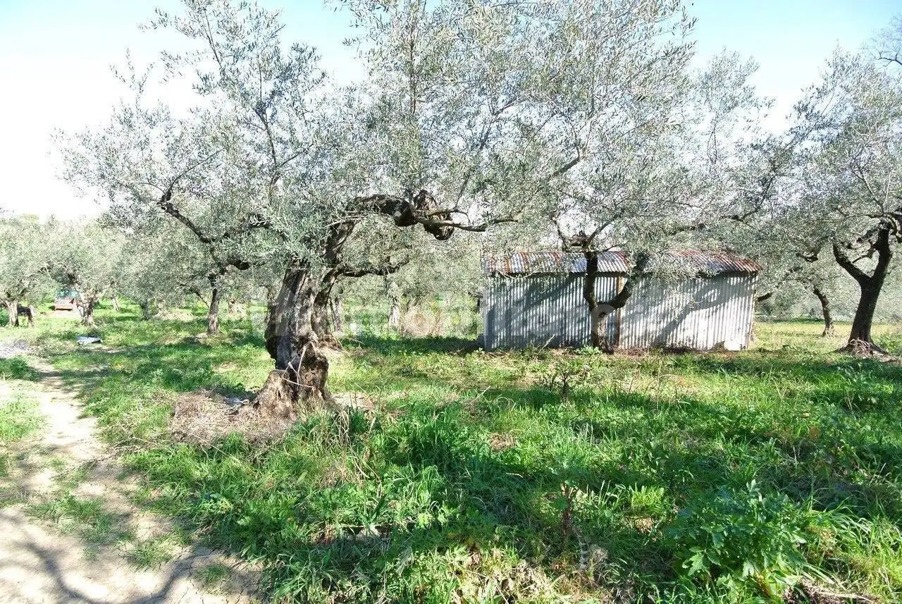 Rustico - Casale in vendita a Moscufo