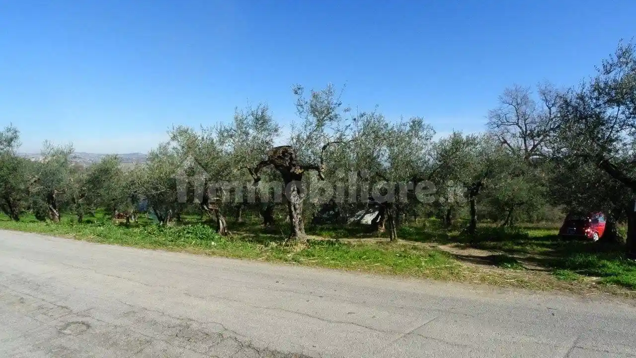 Rustico Strada Provinciale Pianella-Moscufo, Moscufo - foto 2