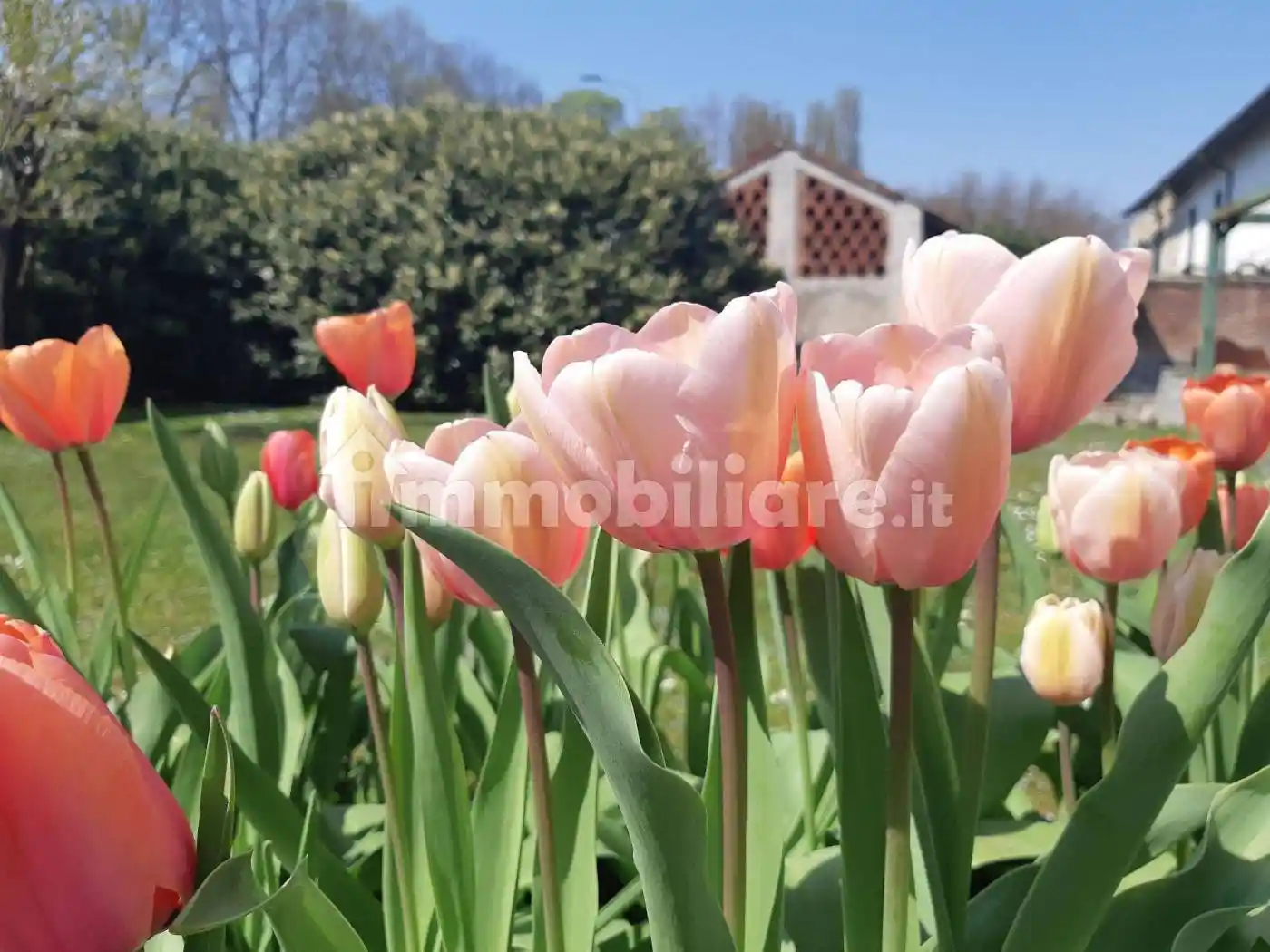 Rustico - Casale in vendita a Milano