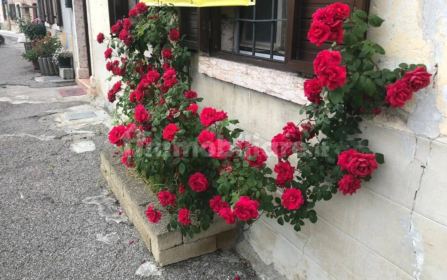 Appartamento in vendita a San Mauro di Saline