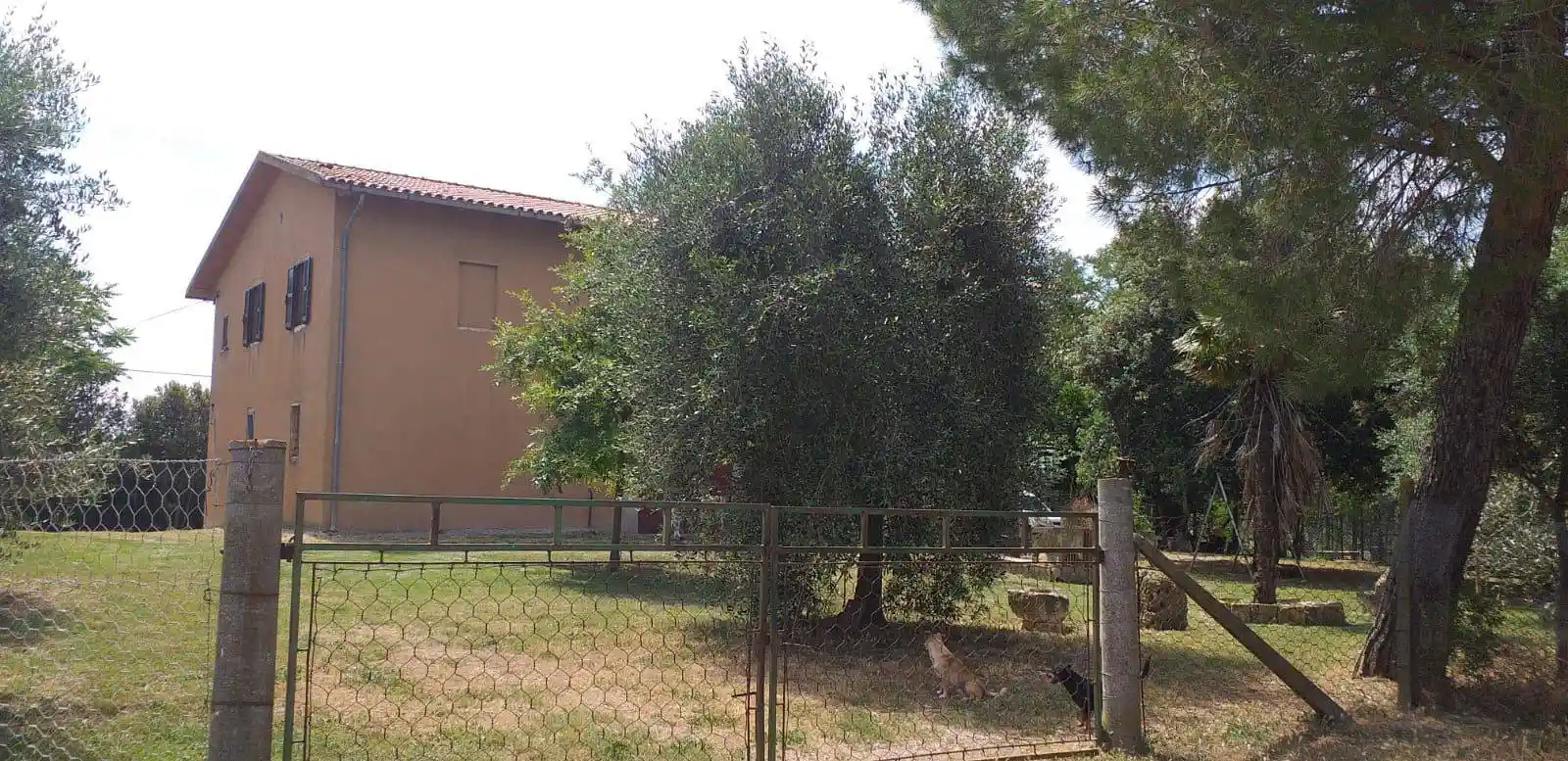 Rustico - Casale in vendita a Manciano