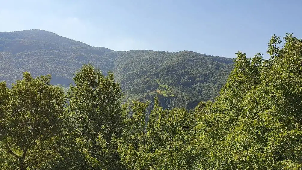 Casa colonica, buono stato, 464 m², Centro, Bracca - foto 4