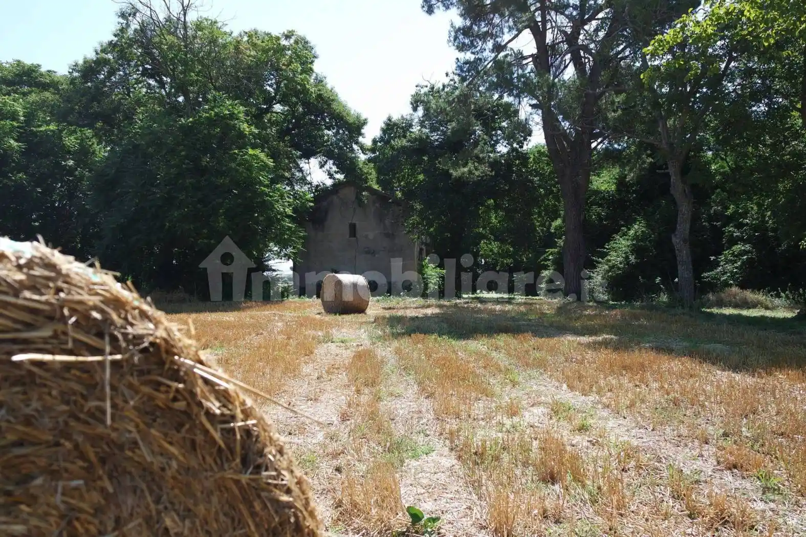 Rustico - Casale in vendita a Palestrina