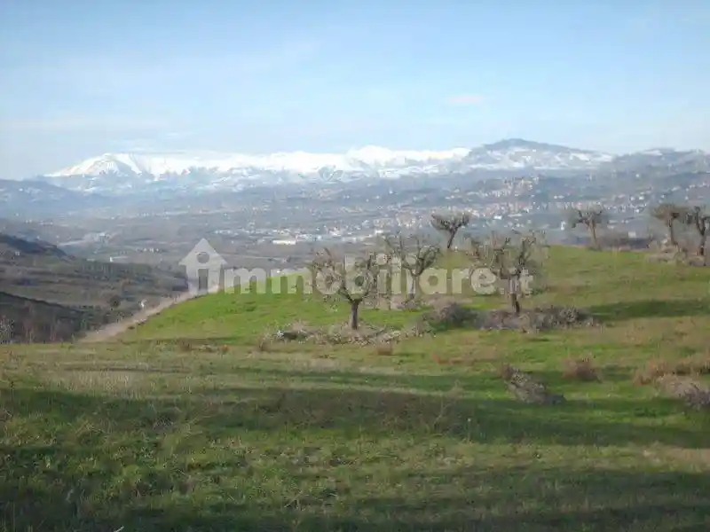 Casa colonica Contrada Fonte Ripa, Controguerra - foto 2