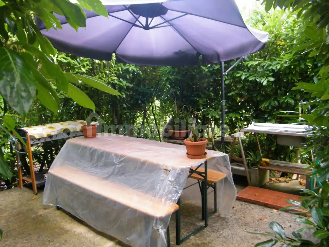 Palazzo - Edificio - foto 4