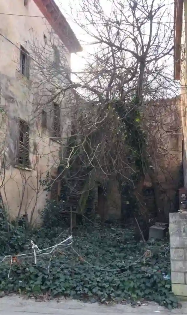 Palazzo - Edificio - foto 5