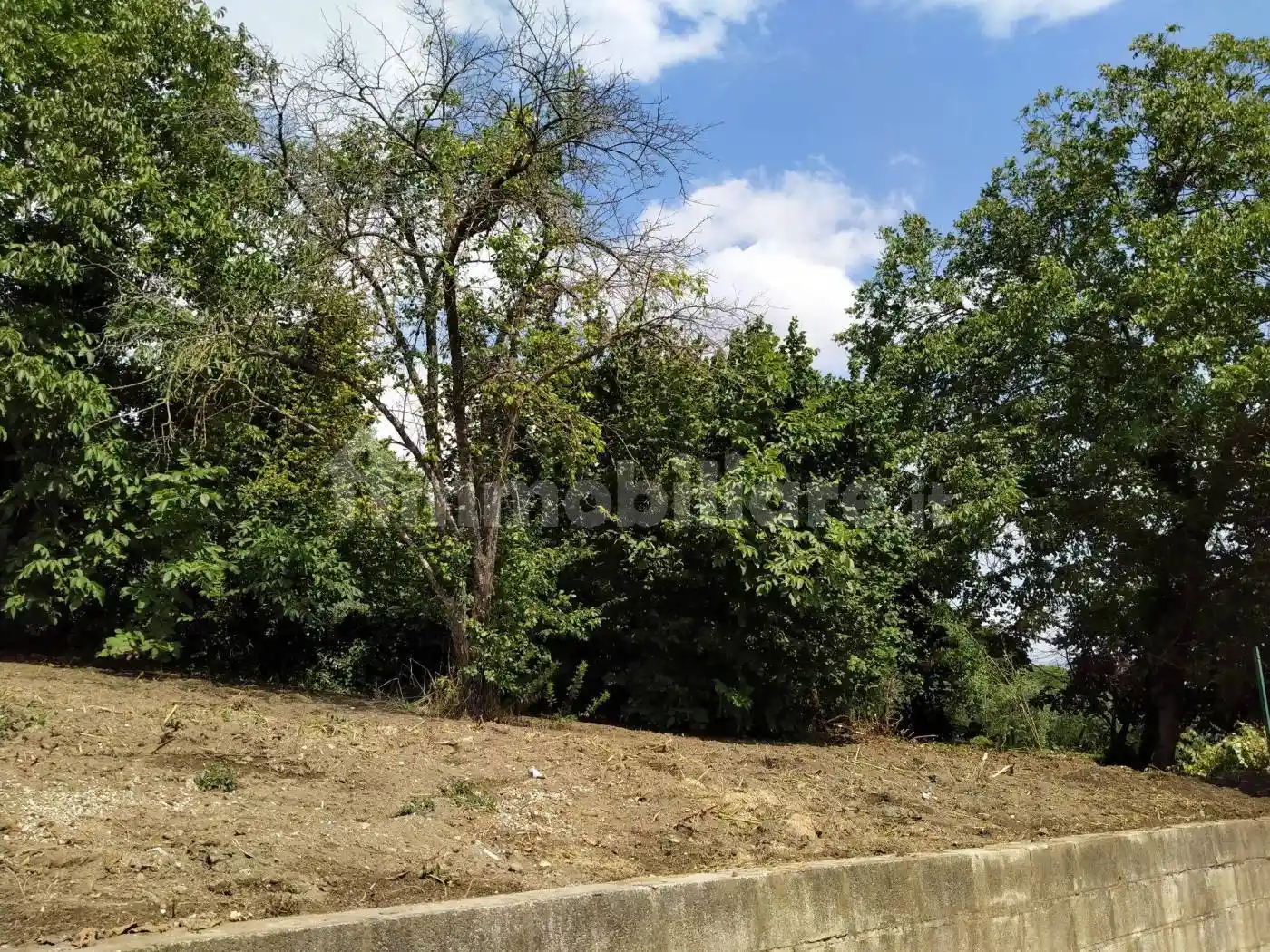 Terratetto plurifamiliare Contrada Torretta, Festola, Montemiletto - foto 4