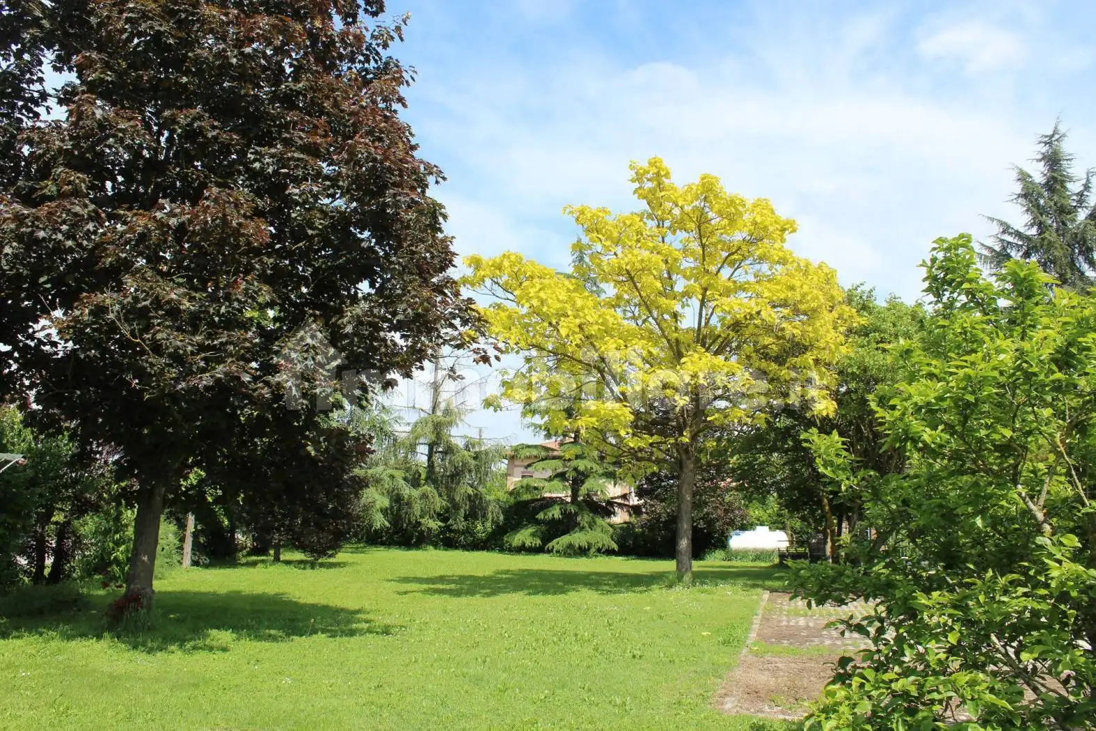 Terratetto plurifamiliare via Lirone, Progresso, Castel Maggiore - foto 3