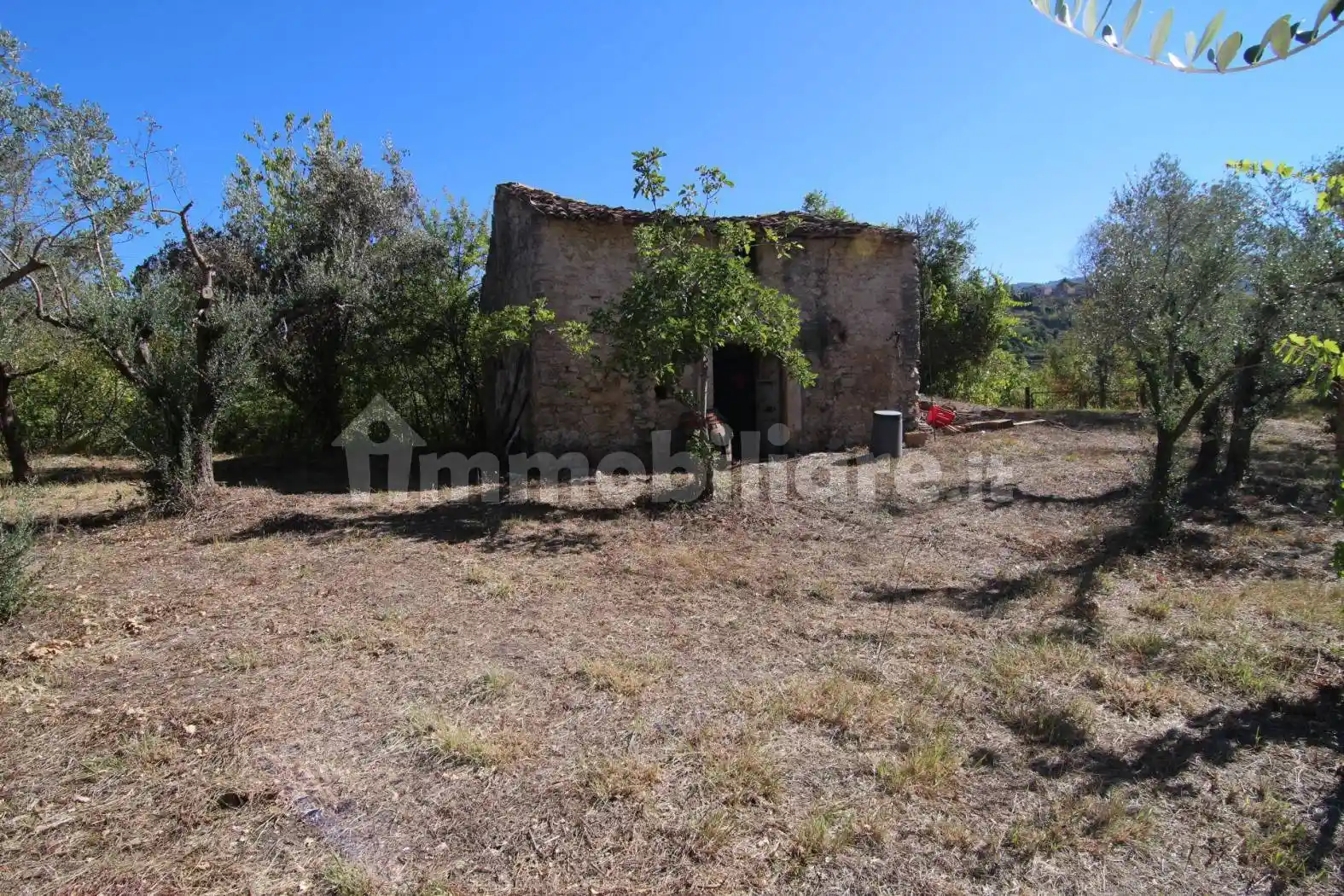 Rustico - Casale in vendita a Poggio Moiano
