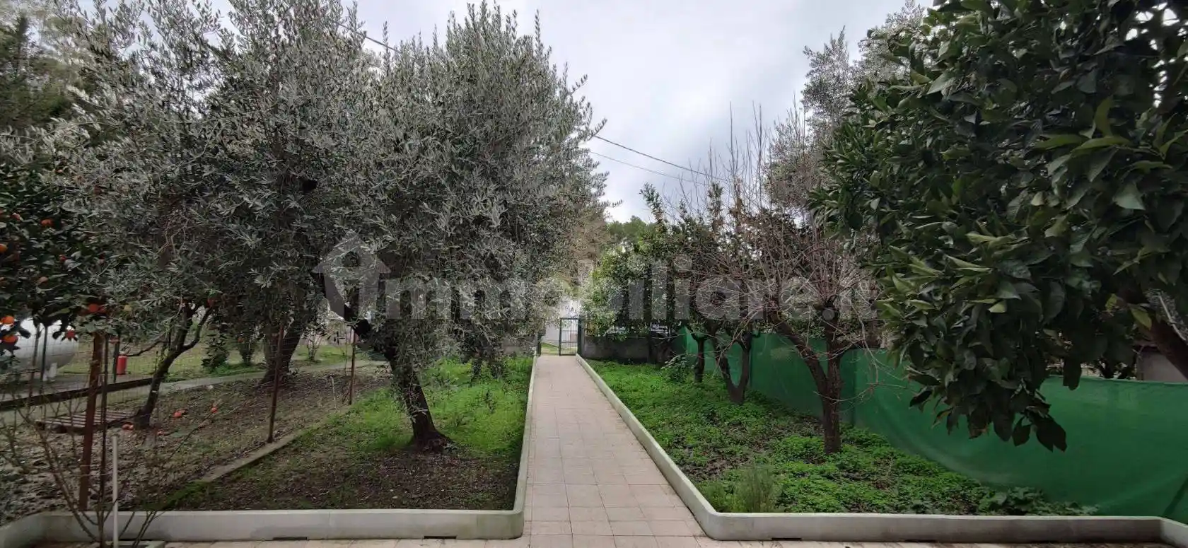 Terratetto unifamiliare Borgo Macchia 27, Macchia, Ferrandina - foto 5