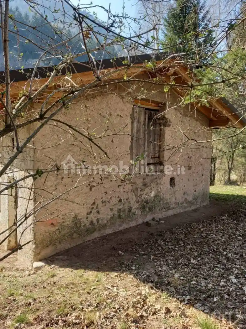 Rustico via Santa Trinità, Bedollo - foto 5