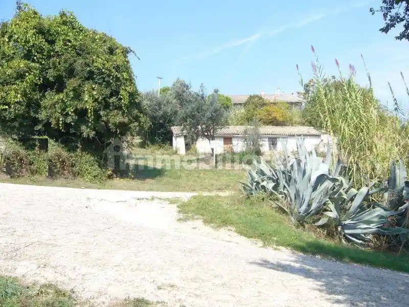 Rustico Contrada San Martino, Colonnella - foto 3