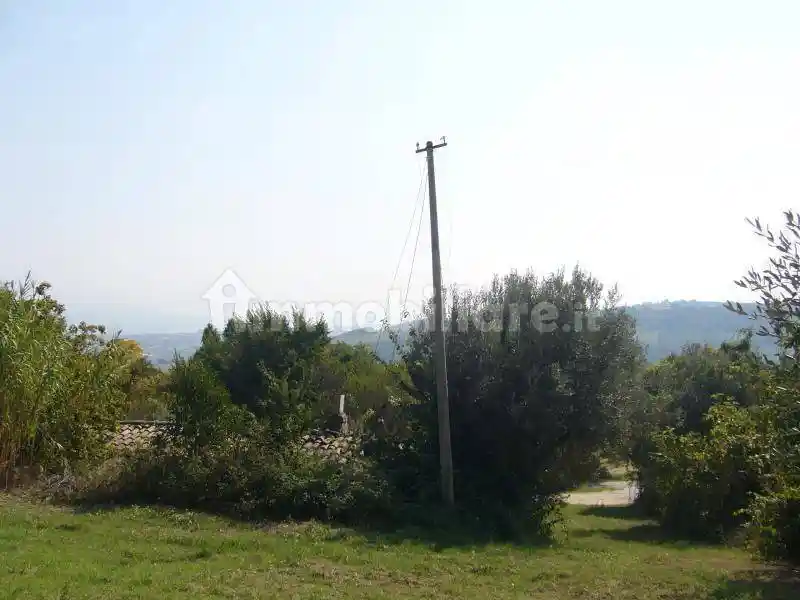 Rustico Contrada San Martino, Colonnella - foto 5