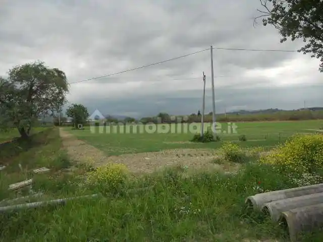 Rustico Strada Provinciale 1, Controguerra - foto 4