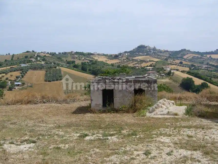 Rustico Contrada Pignotto, Controguerra - foto 2