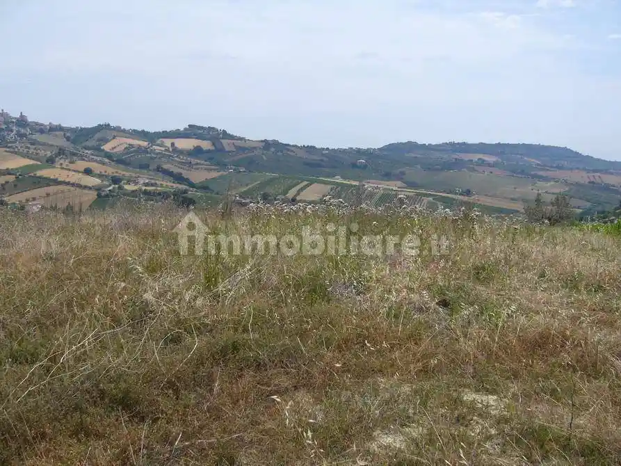 Rustico Contrada Pignotto, Controguerra - foto 5