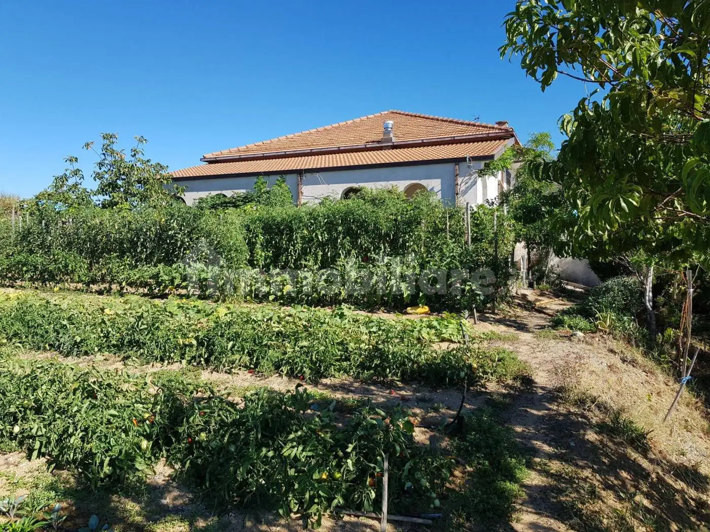 Villa in vendita a Acri