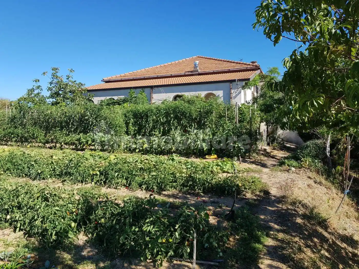 Villa plurifamiliare Contrada Pantano d'Olmo 100, Acri - foto 2