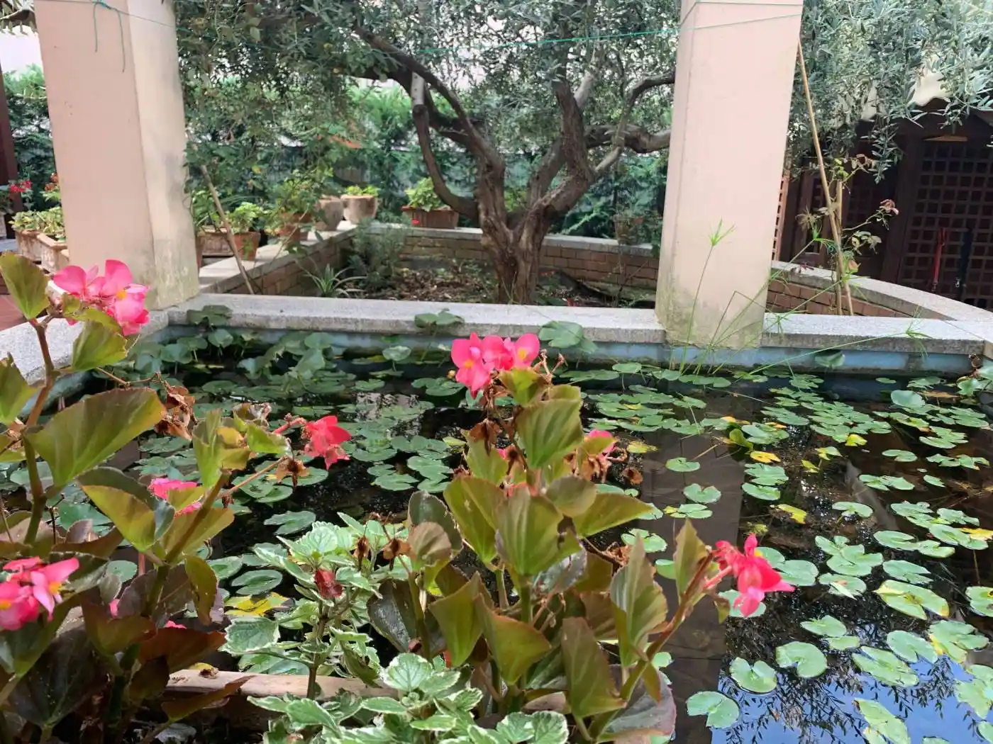 Villa in vendita a Riccione