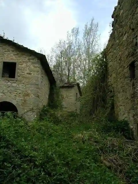 Rustico - Casale - foto 5