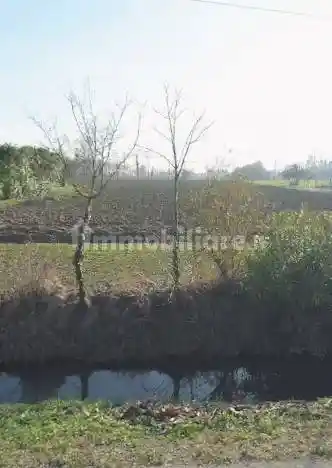 Villa in vendita a Noale