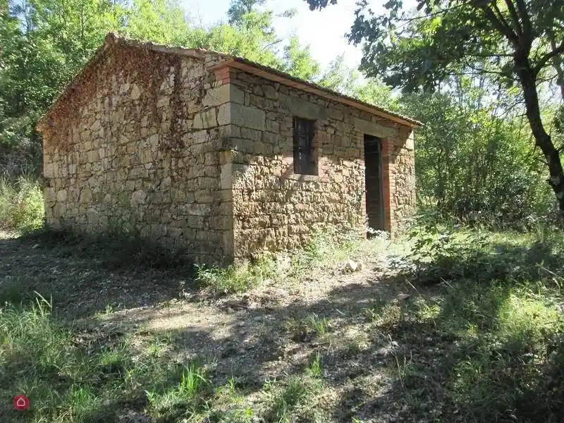 Rustico - Casale in vendita a Scansano