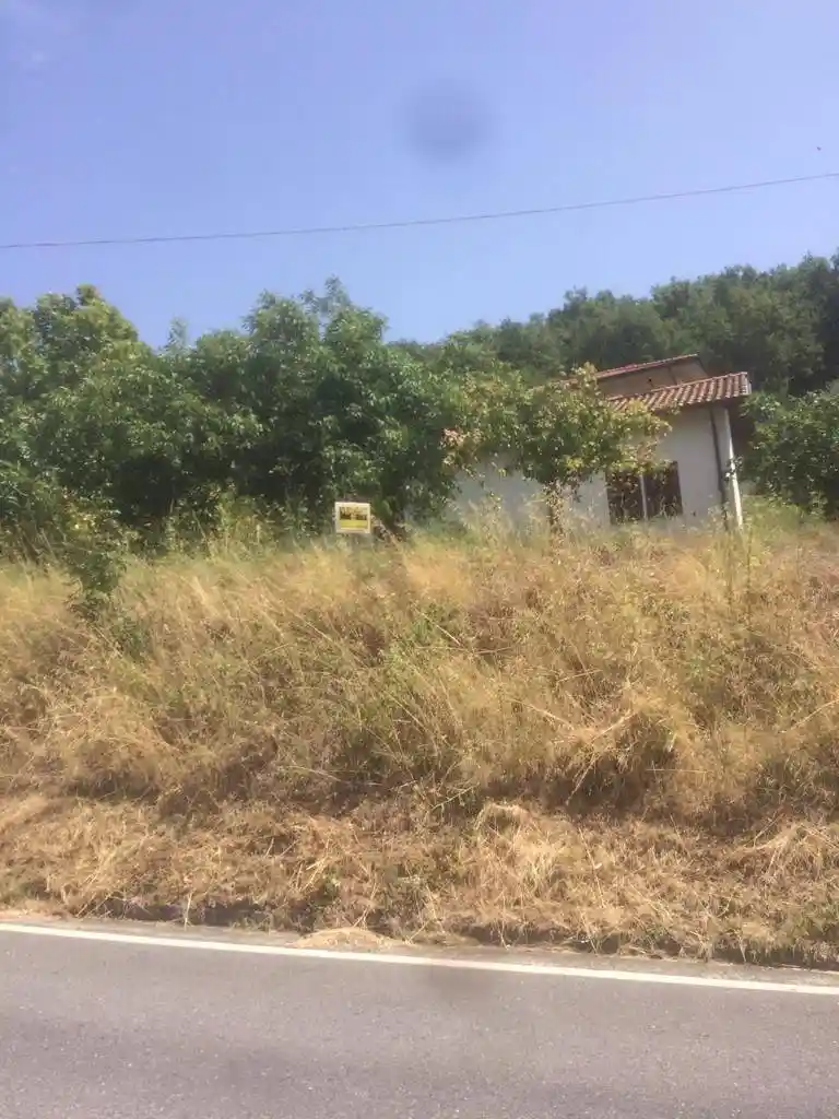 Casale Cacciola 30, Sangineto - foto 2