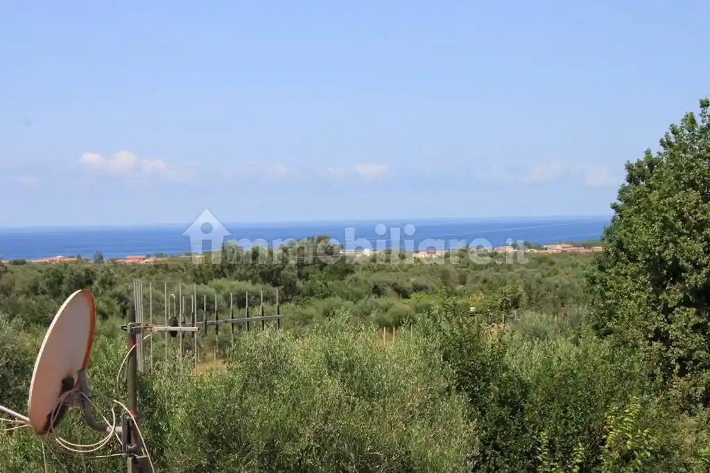 Appartamento via degli Ulivi 79, Centro, Santa Maria del Cedro - foto 4