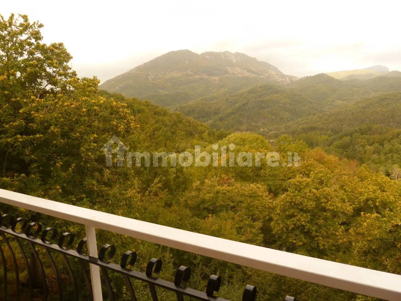 Appartamento in vendita a Nespolo