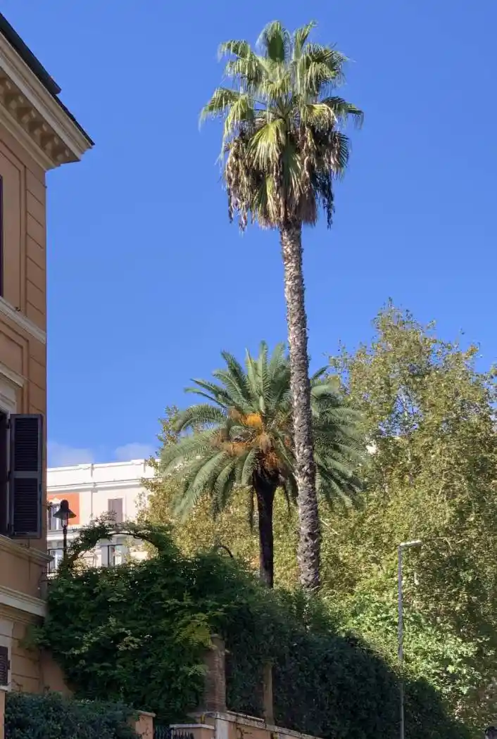 Palazzo - Edificio in vendita a Roma