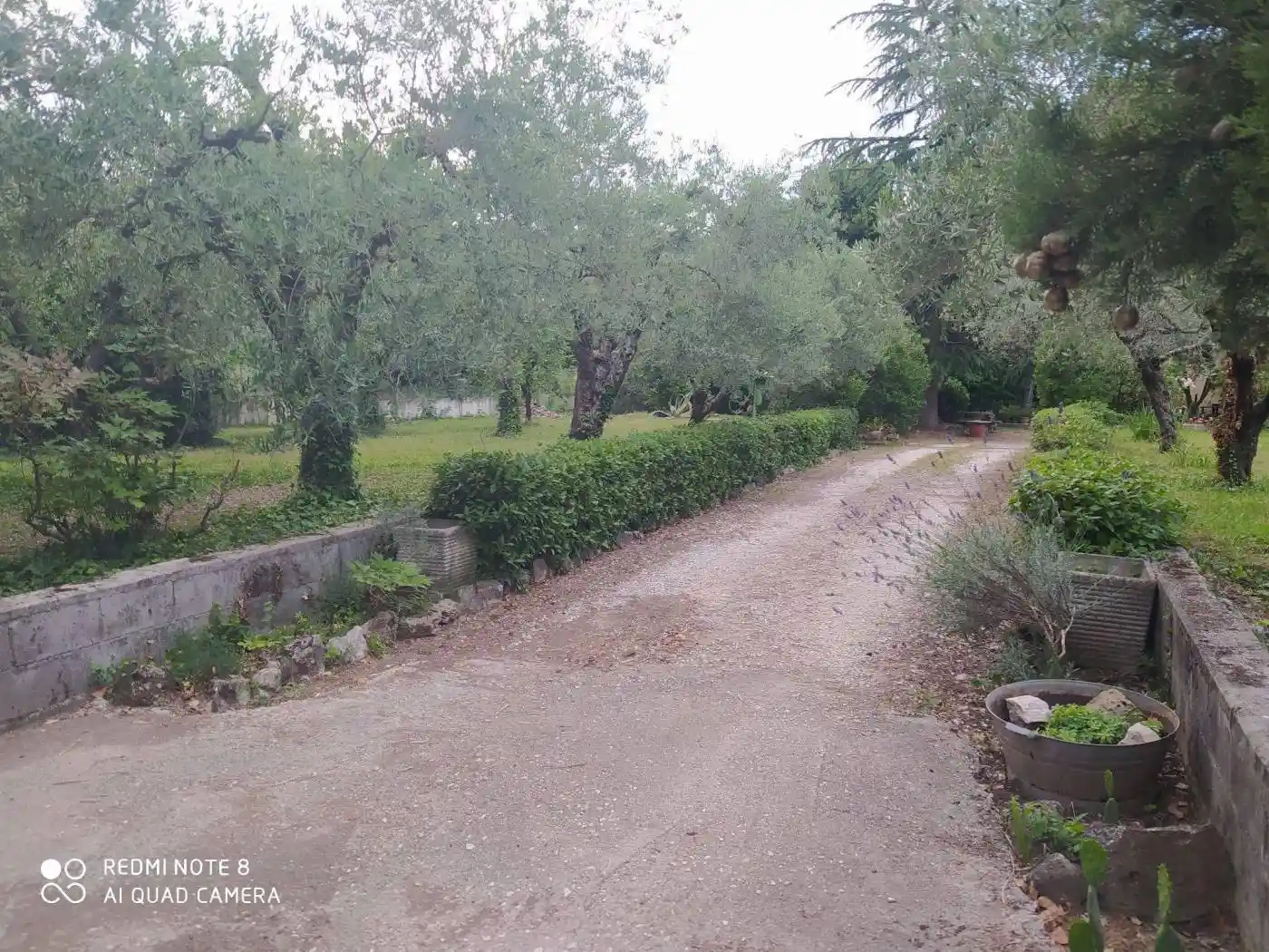 Rustico - Casale in vendita a Terni