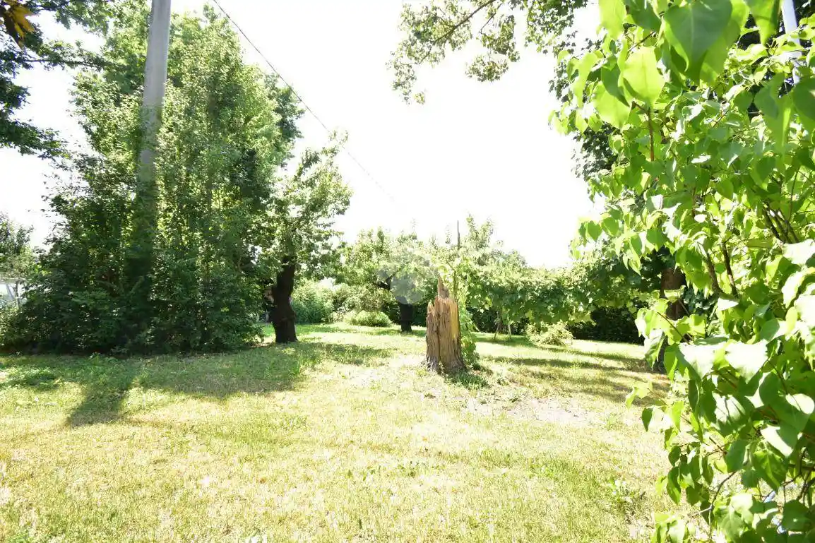 Casa indipendente in vendita a Felino