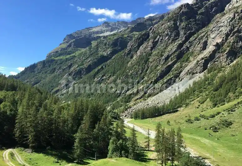 Palazzo - Edificio - foto 5