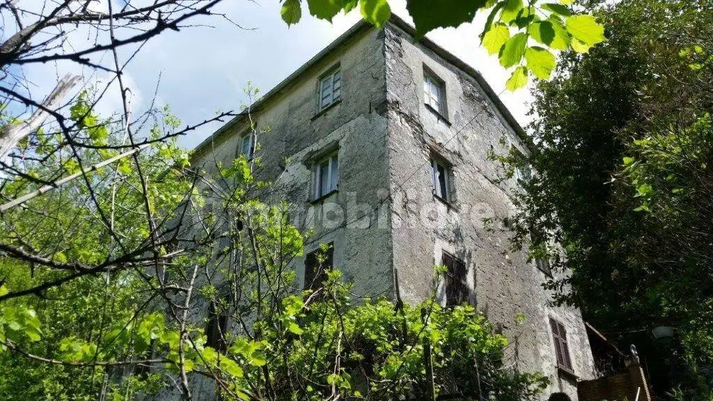 Casale via Accereto 25, Centro, Favale di Malvaro - foto 5