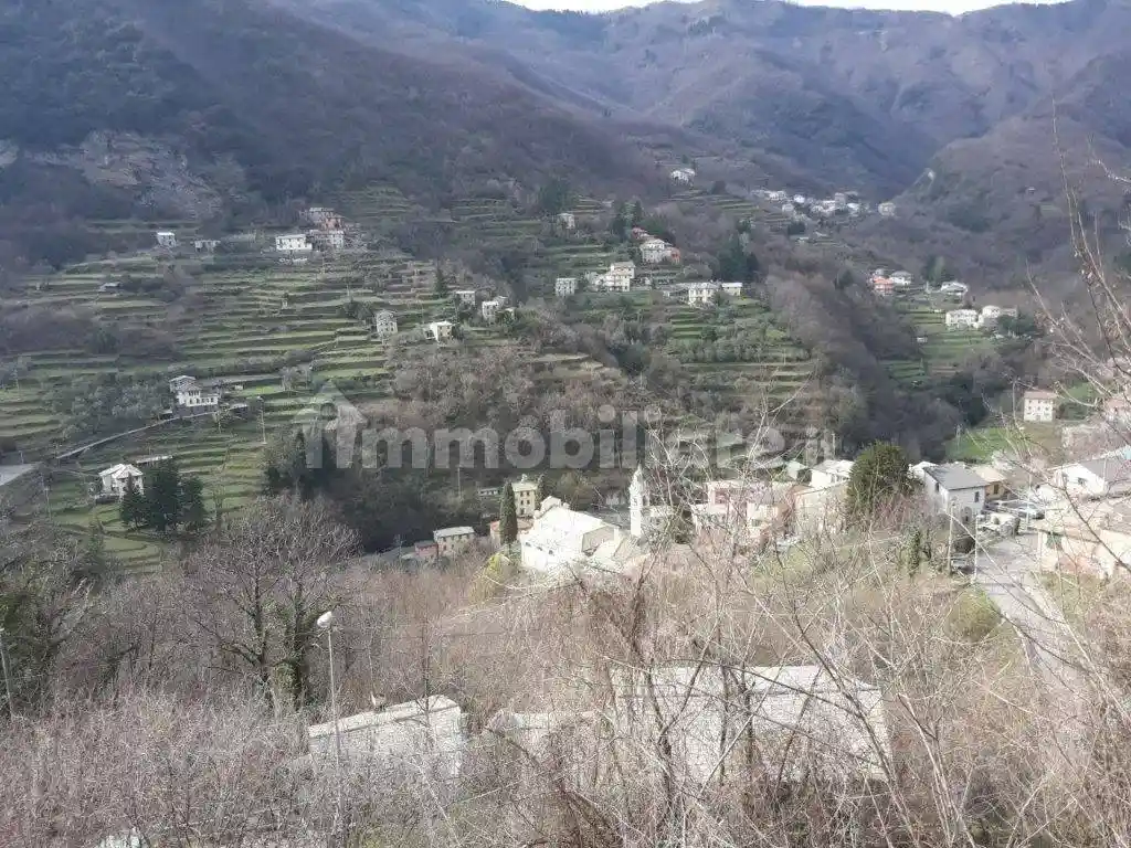 Rustico - Casale in vendita a Favale di Malvaro