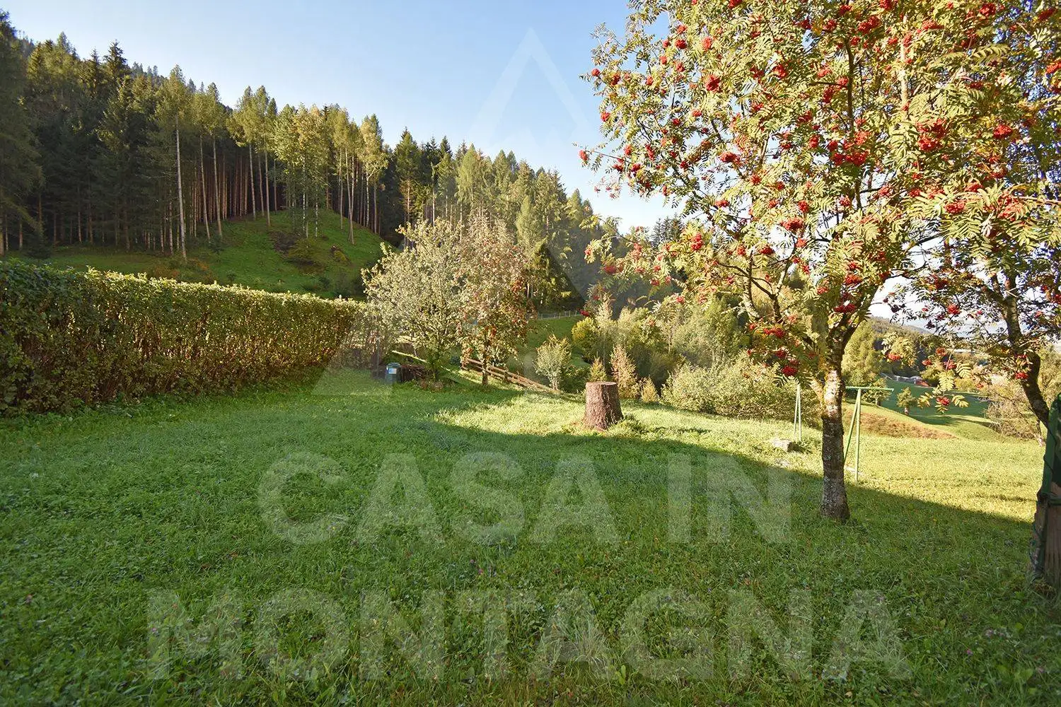 Appartamento in affitto a Ziano di Fiemme