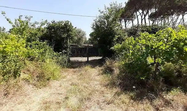 Rustico via del Seminario, Tuscolana, Grottaferrata - foto 2