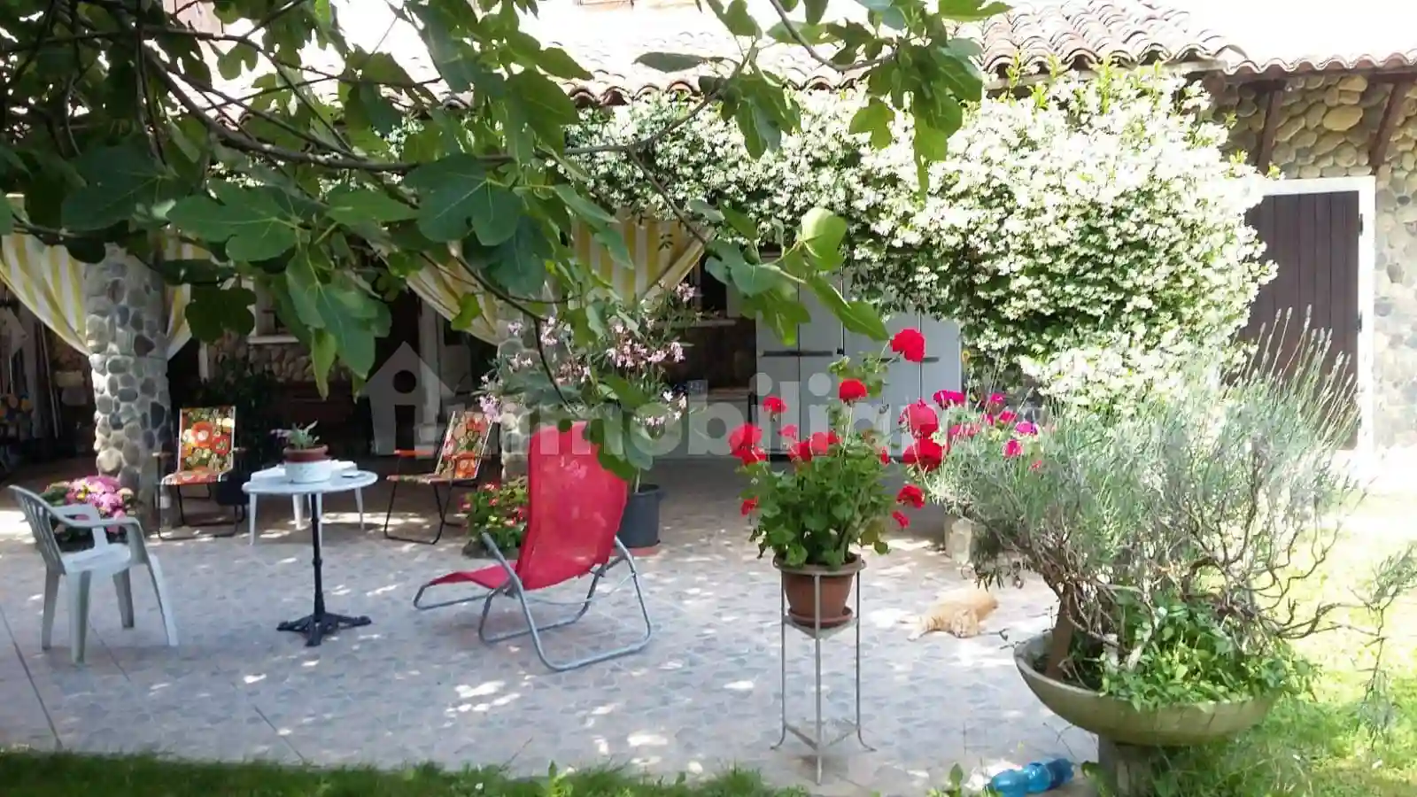 Rustico - Casale - foto 4