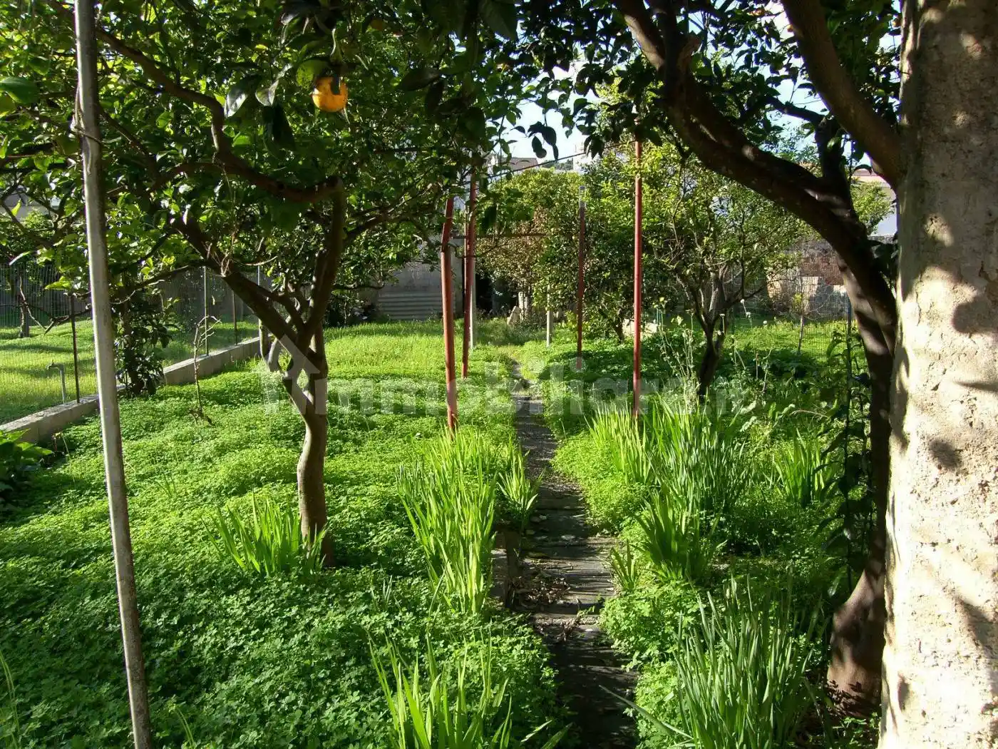 Appartamento in vendita a Alessano